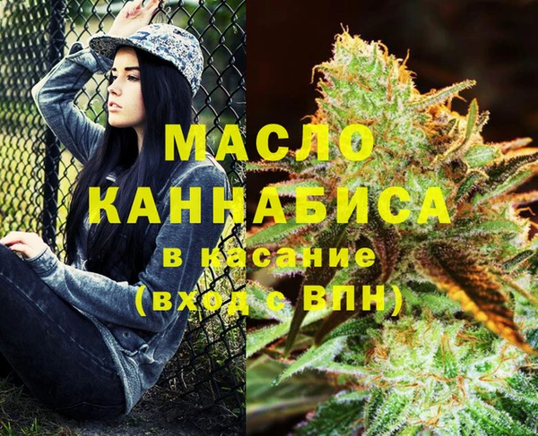 дмт Алексин