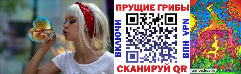Галлюциногенные грибы MAGIC MUSHROOMS  Анжеро-Судженск 