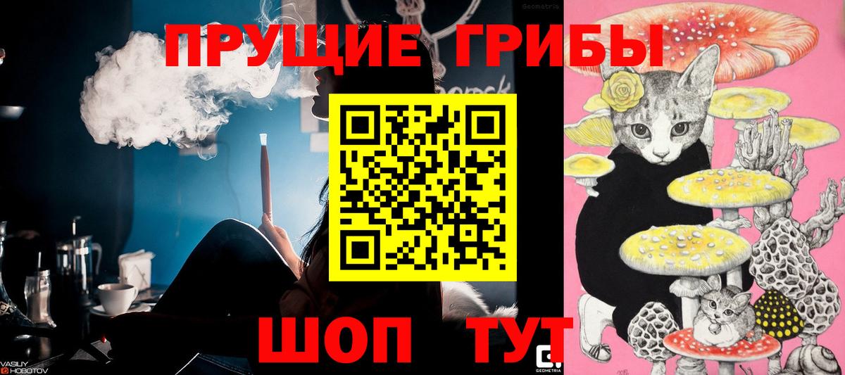 Анжеро-Судженск  Галлюциногенные грибы GOLDEN TEACHER  Вход с VPN  Галлюциногенные грибы ЛСД 